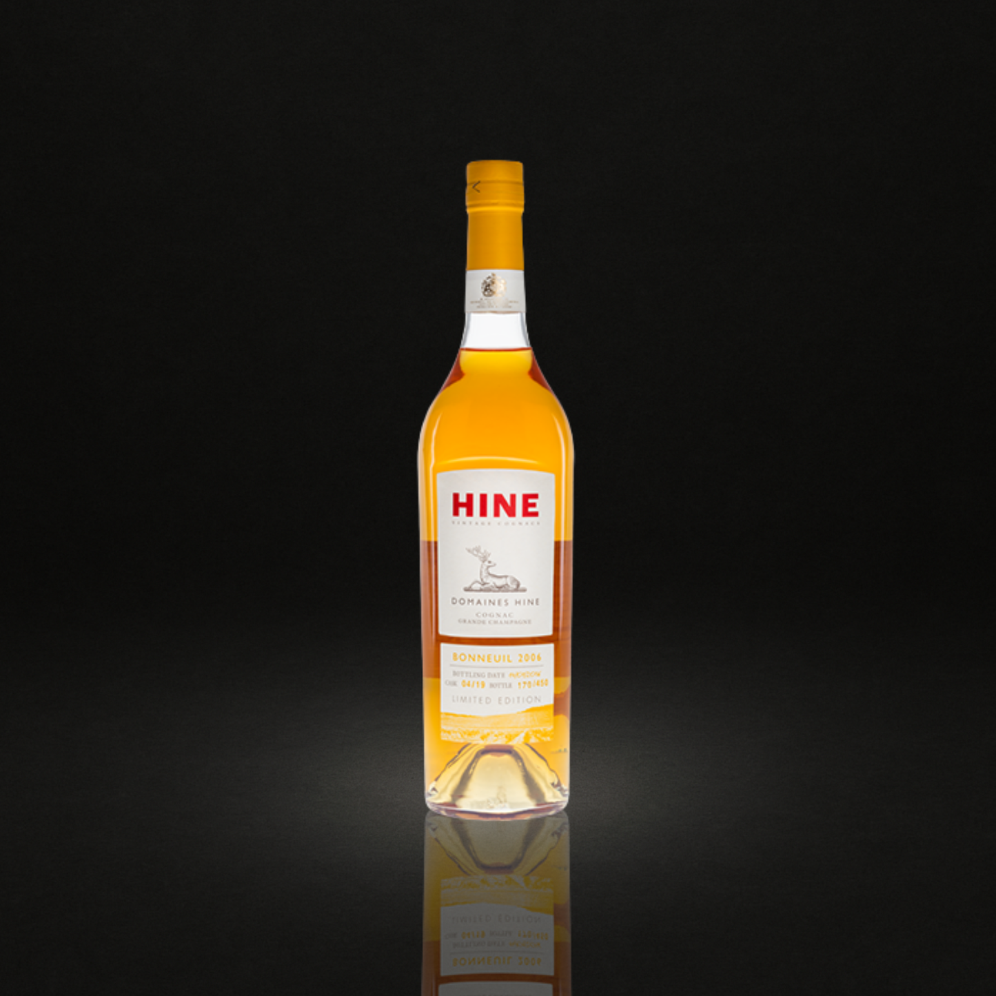 HINE Bonneuil 2006 42,80%