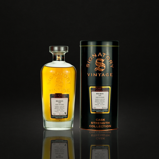 Ben Nevis 1991 26 ans